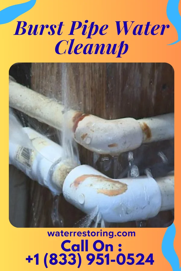 Burst Pipe Water Cleanup in Walkertown, NC