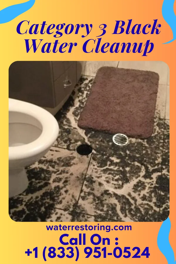 Category 3 Black Water Cleanup in Walkertown, NC