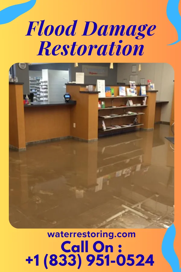 Flood Damage Restoration in Walkertown, NC