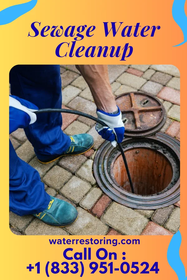 Sewage Water Cleanup in Walkertown, NC